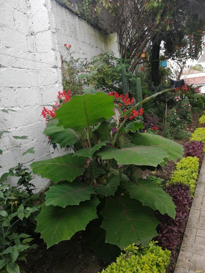 Bed and Breakfast Casatodosantos Cuenca Esterno foto