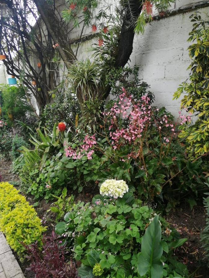 Bed and Breakfast Casatodosantos Cuenca Esterno foto